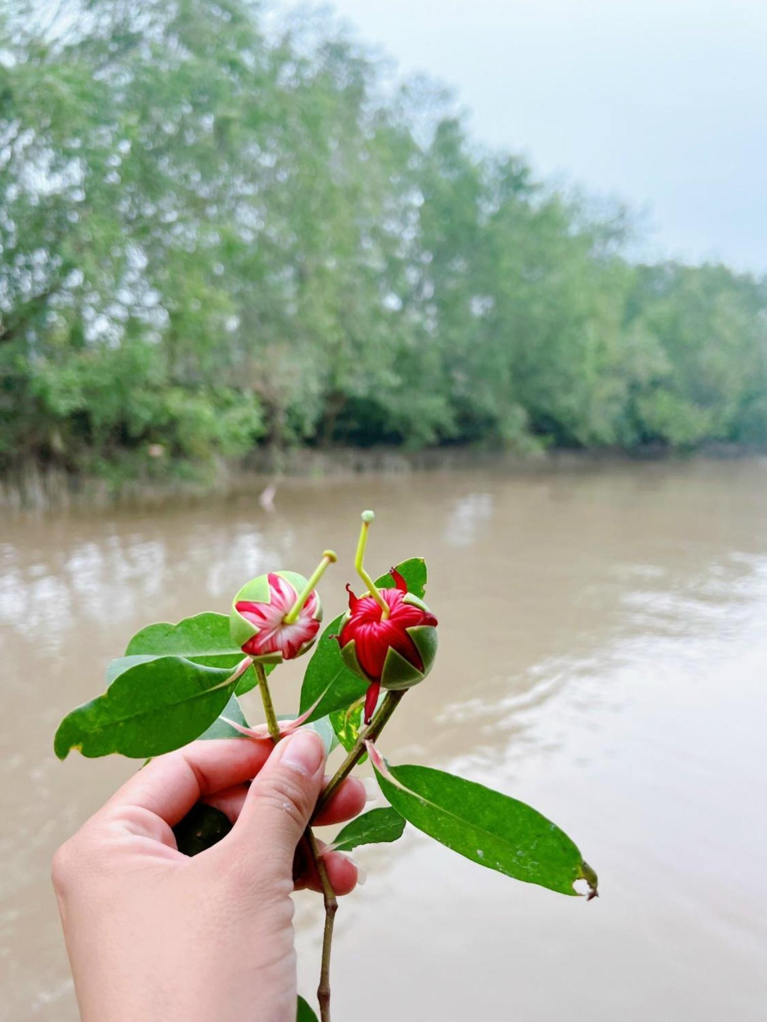 Hide Away Bungalows In Ben Tre City Екстер'єр фото