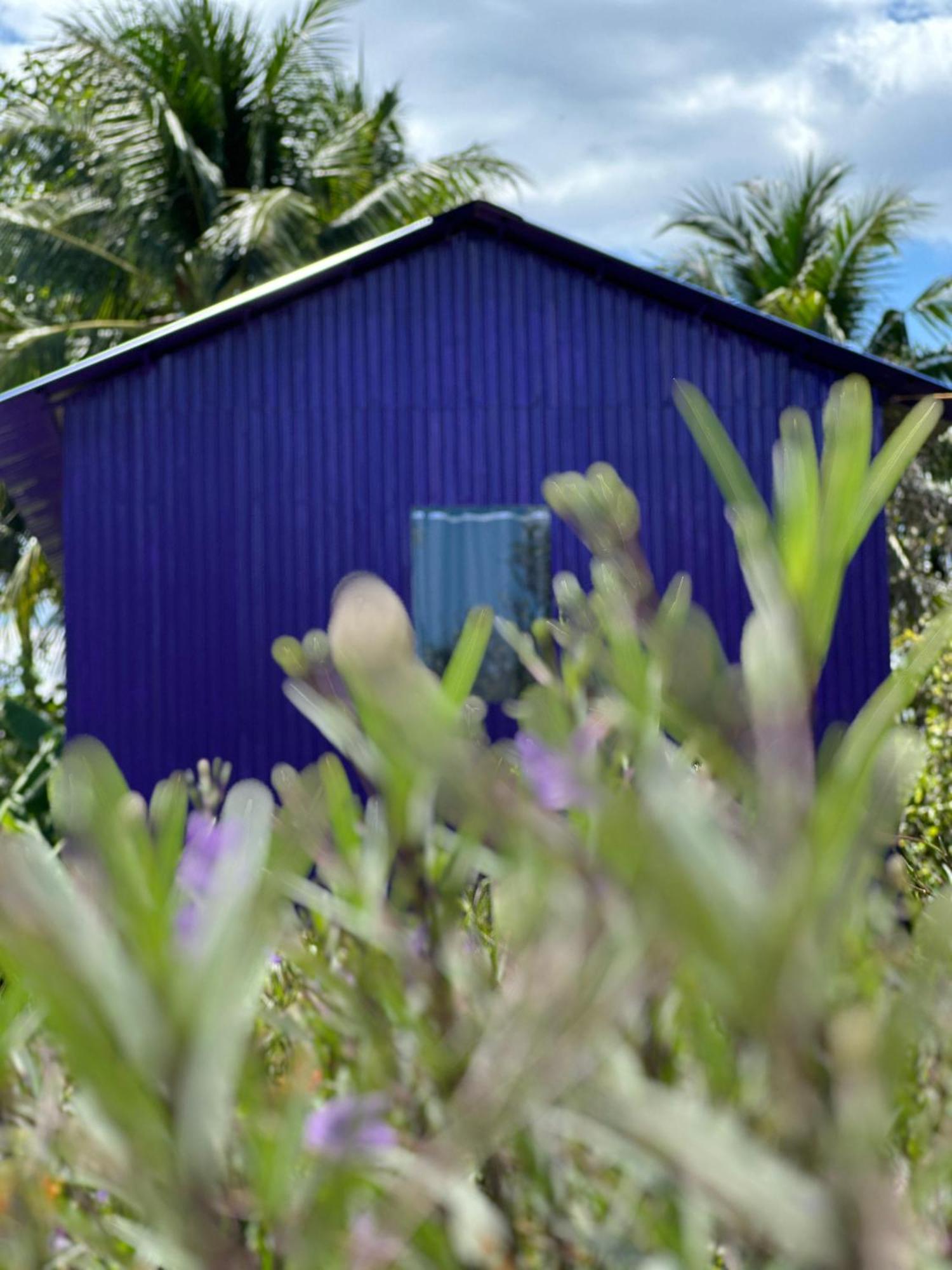 Hide Away Bungalows In Ben Tre City Екстер'єр фото
